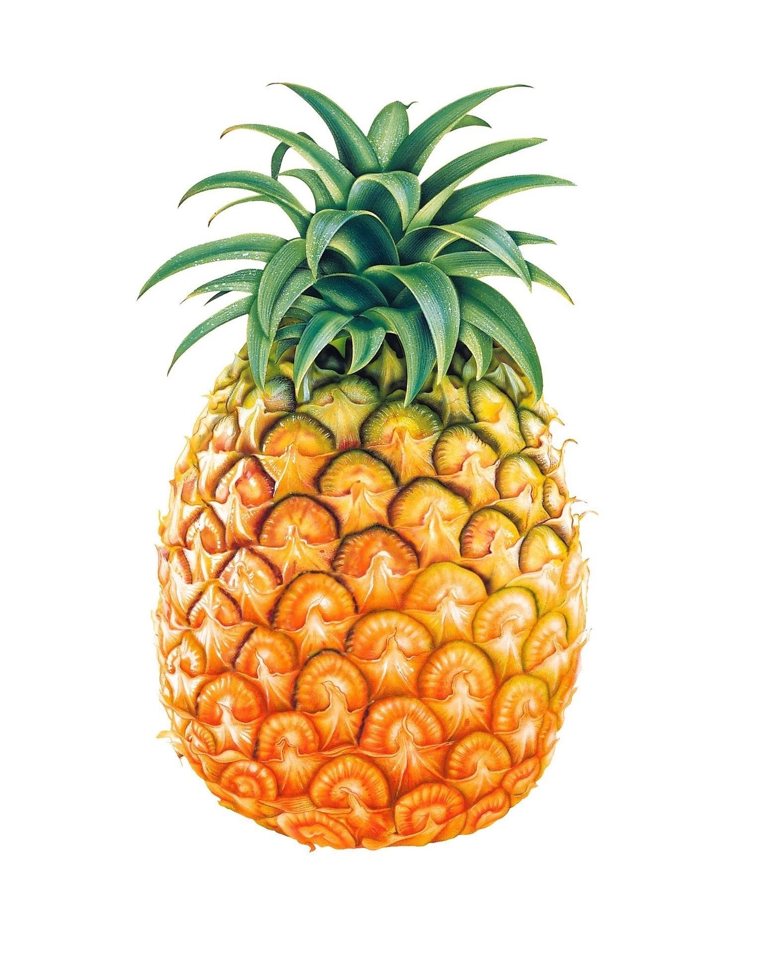 pineapple
