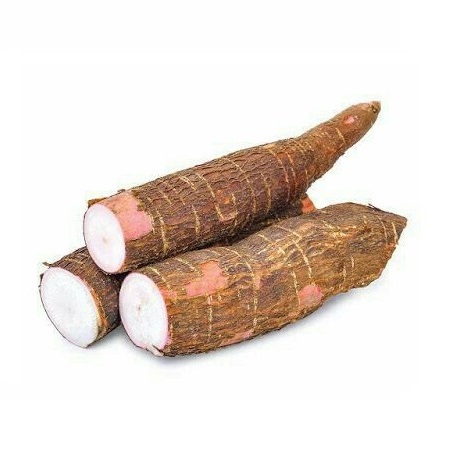 cassava
